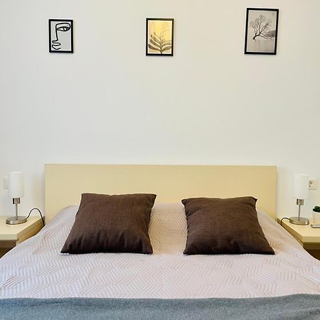 Mountain Crib In Urban Plaza W. Parking & Netflix Apartment Brasov Bagian luar foto